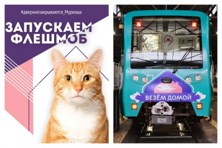 Флешмоб #двериНЕзакрываются