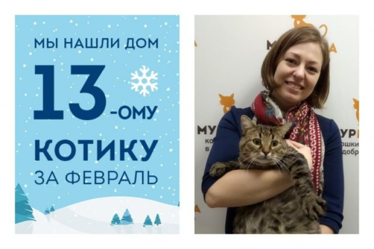 Новая счастливая жизнь начинается у кота Смоки!