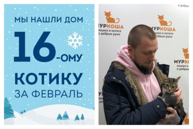 Котенок Салазар встретил настоящего друга!