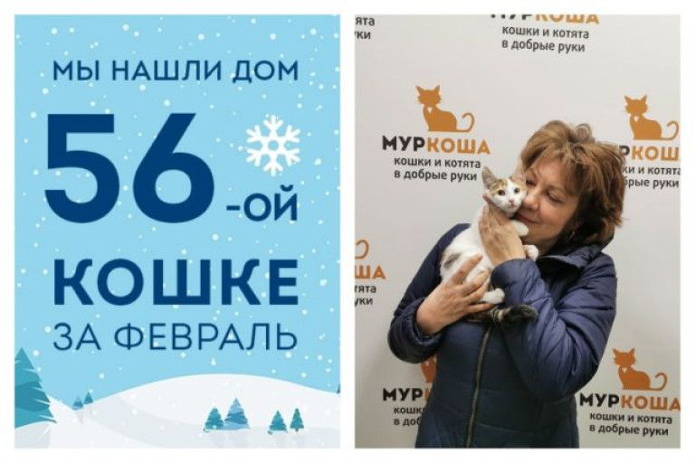 Спустя две недели в приюте домой уезжает котенок Алана!