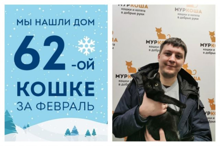 У кошечки Айзы появилась семья и уютный дом!