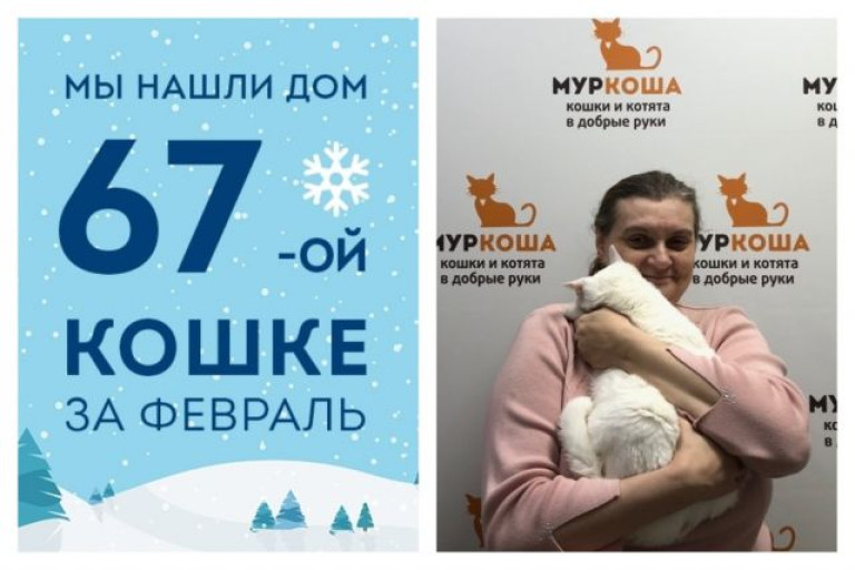 Кошка Манефа уезжает в новую жизнь!