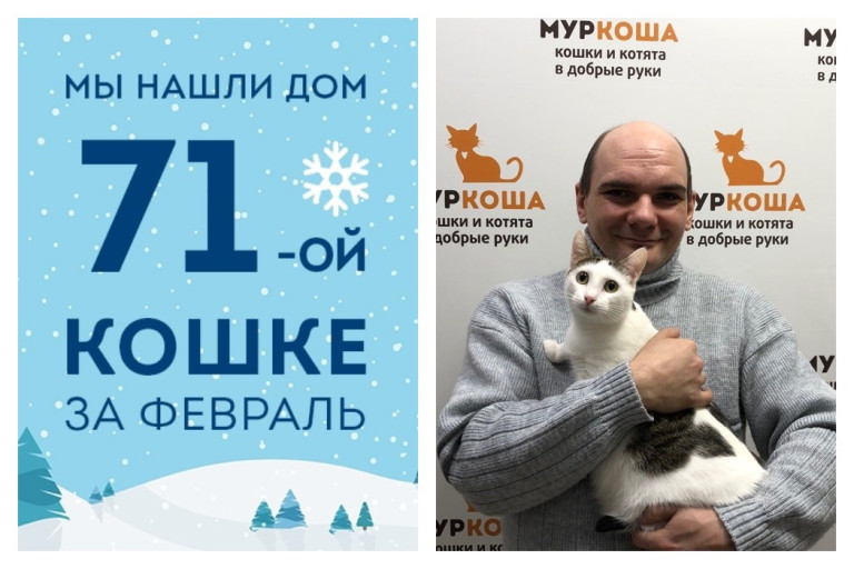 Двухлетняя кошечка Стейси встретила настоящего друга!
