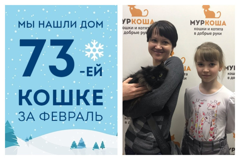 Пышная кошка Пушечка стала частью прекрасной семьи!