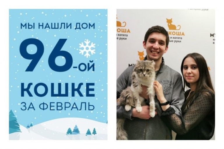 Кошечка Валерия обрела дом за два месяца!