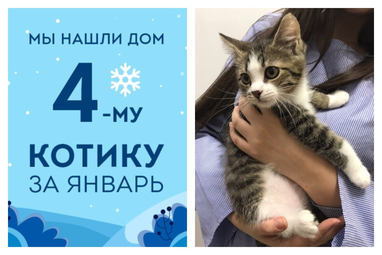 В новый год котенок Эраст стал домашним любимцем!