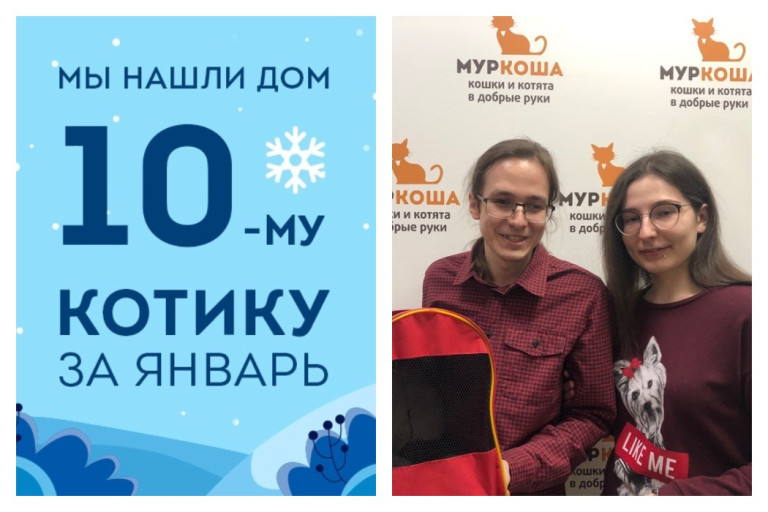Денди стал домашним всего за две недели!