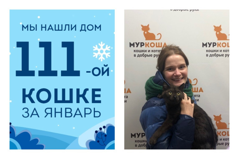 Уезжает в новый дом шестимесячная кошка Асолька!