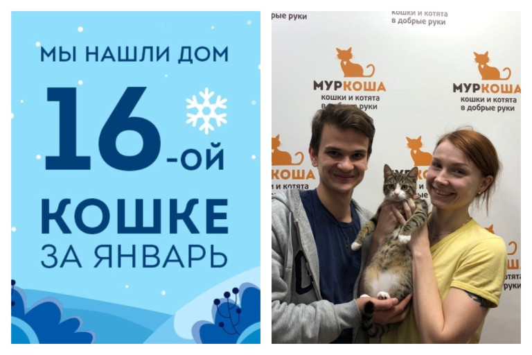 Провожаем в домашнюю жизнь кошечку Айрис!