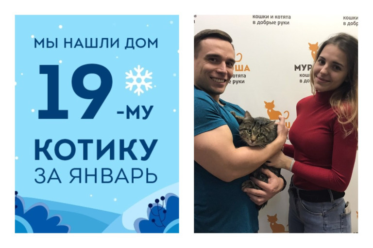 Мы помогли котику Брысю снова стать домашним!