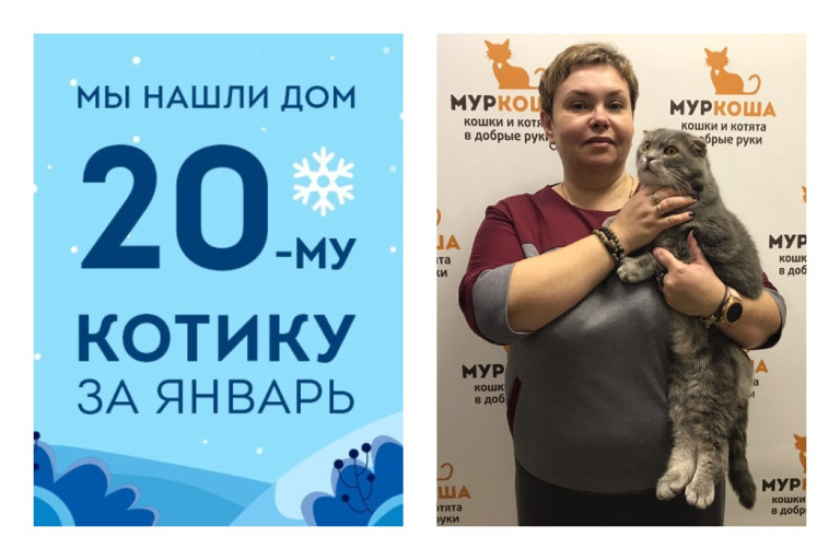 Снова стал домашним котик Сёмик, у которого погибли хозяева!