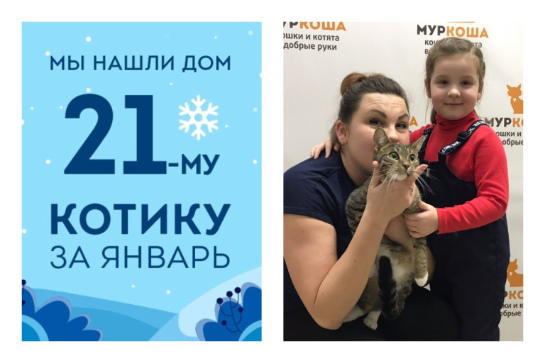 Рождественское чудо для котика Робина!