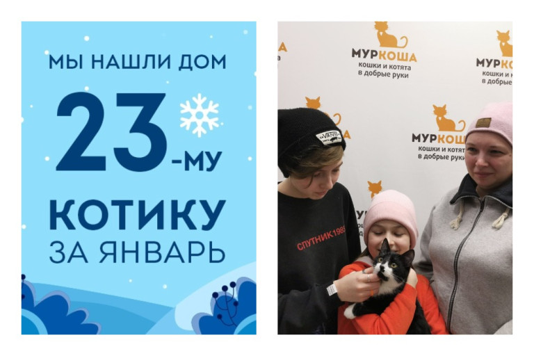 Котенок Бандит стал домашним всего за две недели!
