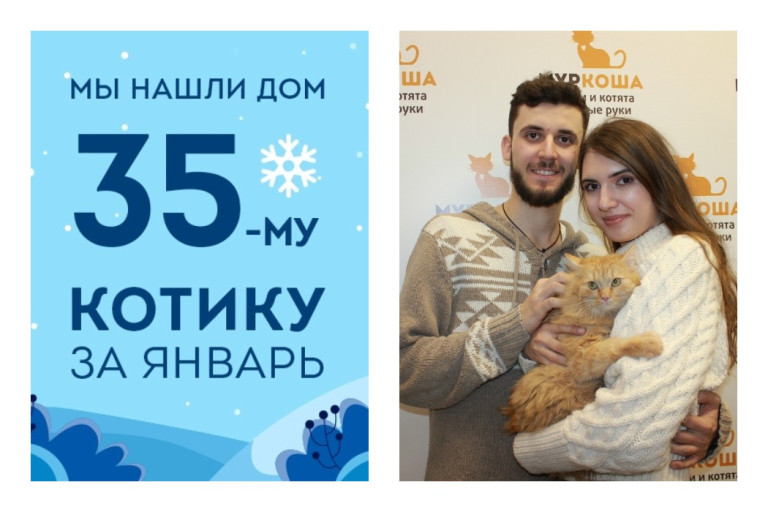 У котенка Финтуса появилась новая семья!