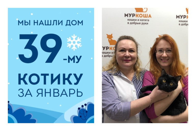 Уезжает в новый дом годовалый кот Вегас!
