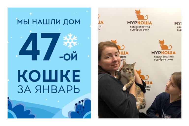 Ивушка, найденная в закрытом ящике, стала домашней!