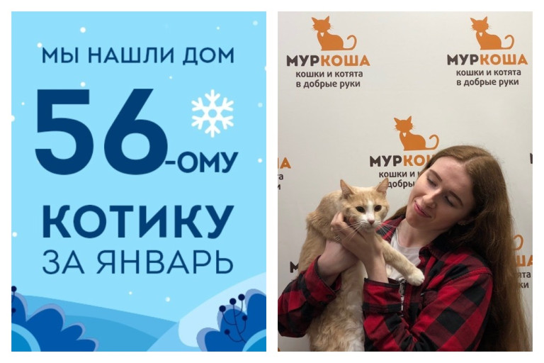 У кота Рыжольда начинается новая жизнь!