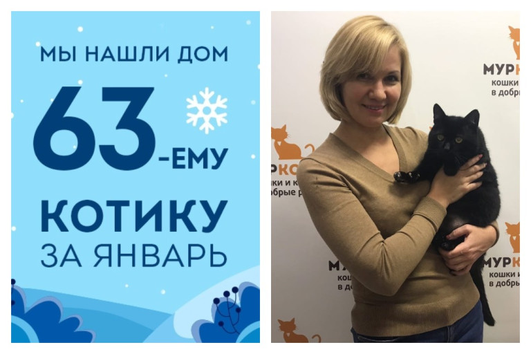 У кота Тихомира появилась хозяйка!