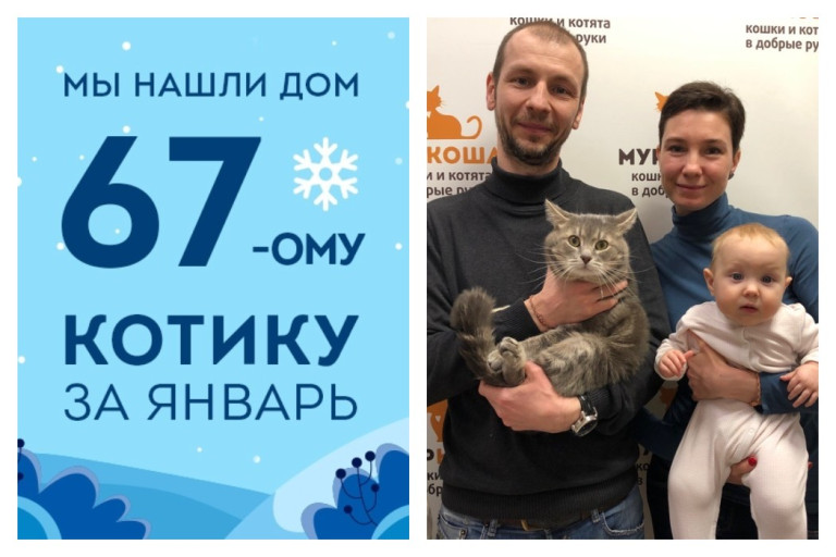 Вновь провожаем домой семилетнего котика Сервантеса!