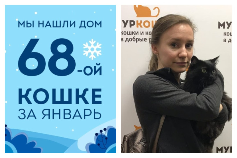 У роскошной кошечки Чампы появилась любящая хозяйка!