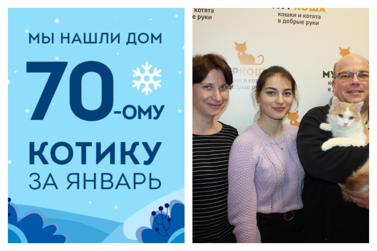 Так вот кого ждал котик Флоксик!