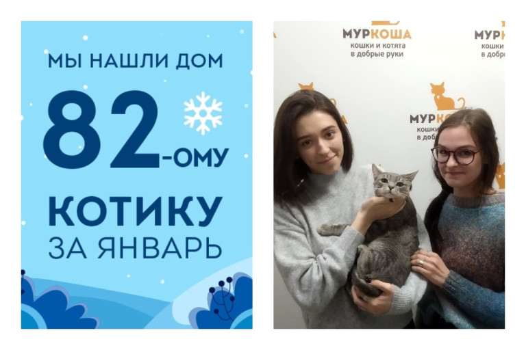 У котенка Воина появилась семья и уютный дом!