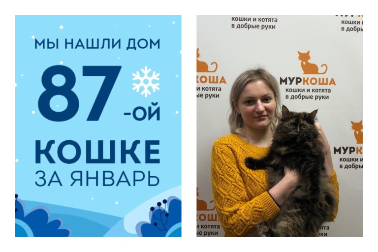 Уезжает в новый дом кошечка Этерия!