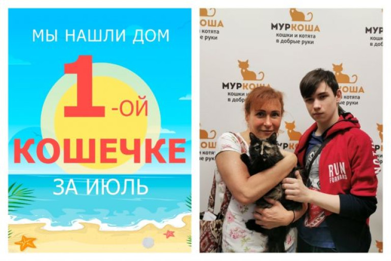 Дружелюбная кошечка Зося стала домашней!