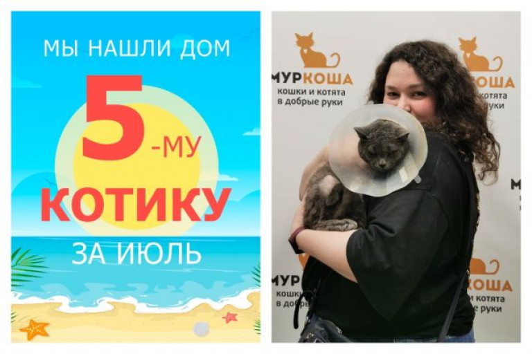 Котик Варяг уезжает в новый дом!