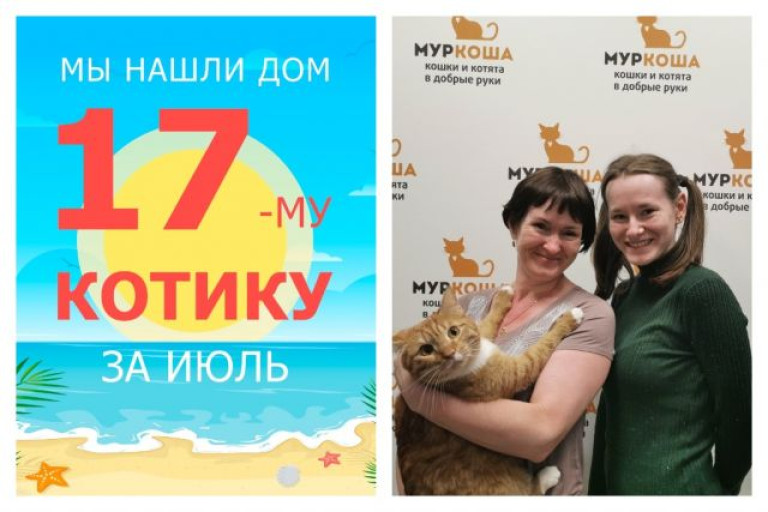 Кот Отличник, наш отважный борец за жизнь, стал домашним!