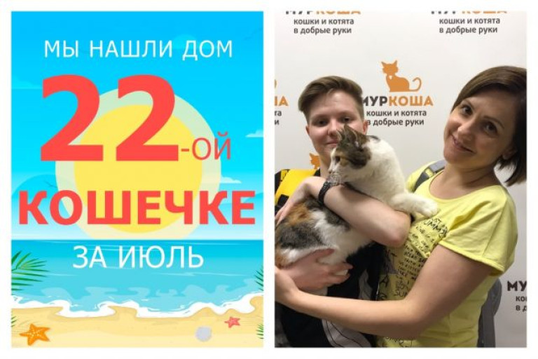 Кошечка Пачкуля нашла дом за неделю!