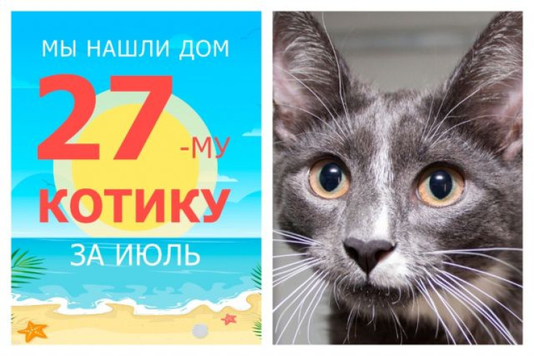 Активный Гиацинт нашел дом за один месяц!