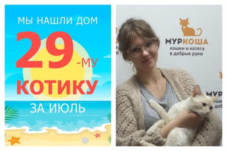 Котик Паспарту отправился в свой новый дом!