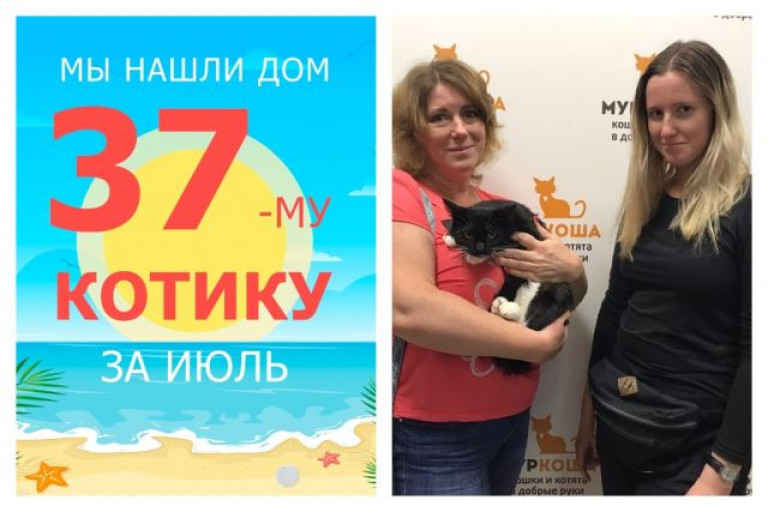Котик Алмаз встретил свою заботливую семью!
