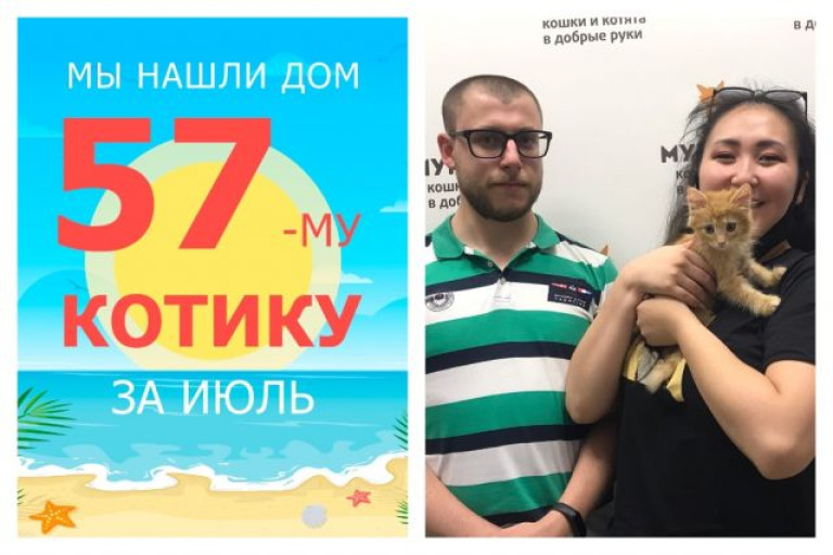 Крошка Аркаша стал домашним за один месяц!