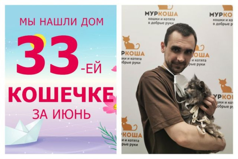Кошечка Императрица встретила заботливого хозяина!