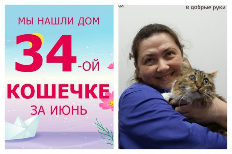 Кошечка Люсика начинает новую жизнь!
