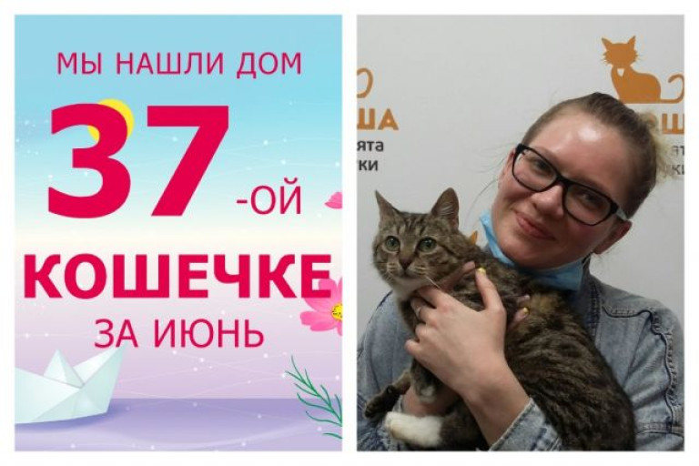Кошечка Пани нашла дом меньше чем за месяц!