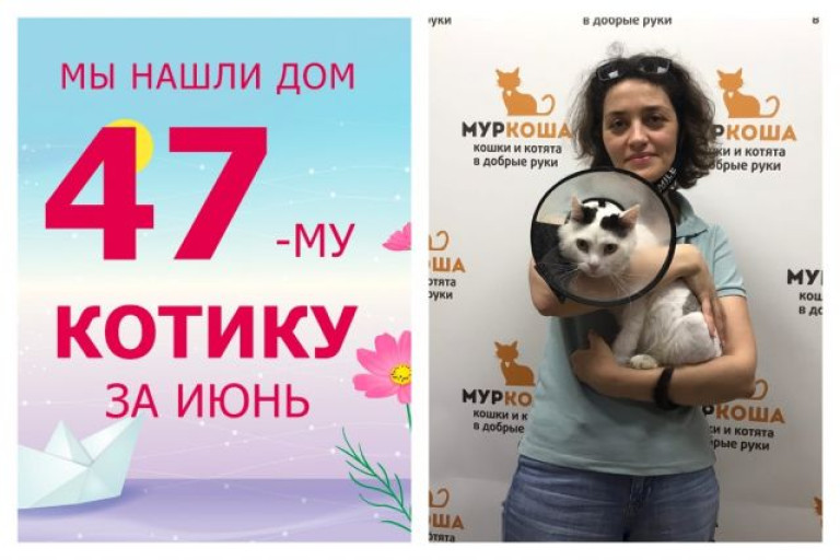 Провожаем домой котика Ушкина!