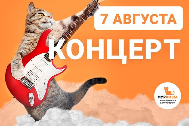 Любите музыку и хотите помочь котикам?