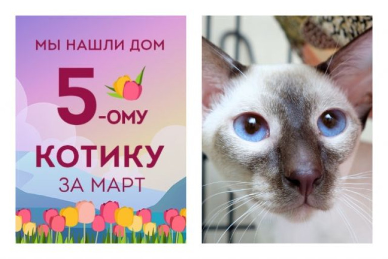 Юный котик Локки начинает новую жизнь!