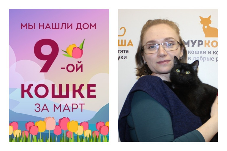 Юная Мисс Хадсон встретила свою прекрасную хозяйку!