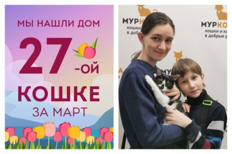 Семимесячная кошечка Оригами отправляется в новую жизнь!