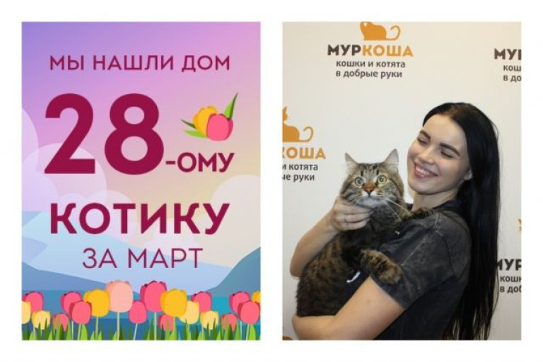 Котик Нэо стал снова домашним всего за десять дней!