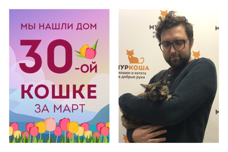 Годовалая кошка Бусинка встретила своего человека!