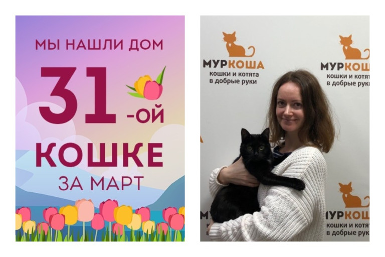 Кошечка Джакарта рада познакомить вас с любимой хозяйкой!