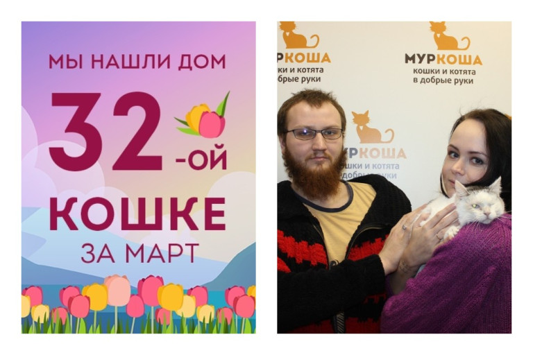 Пятилетняя кошечка Пипа стала домашней любимицей!