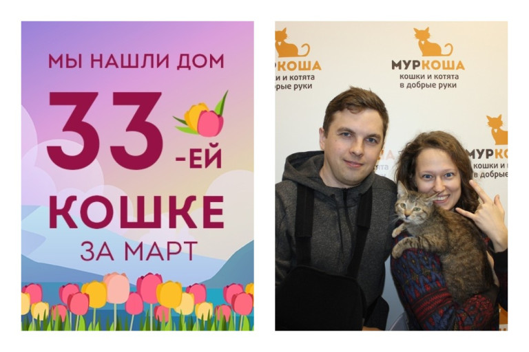 Прекрасная кошечка Розалия отправилась в новый дом!