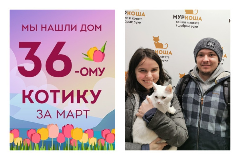 Крошка Кай вытянул счастливый билет!