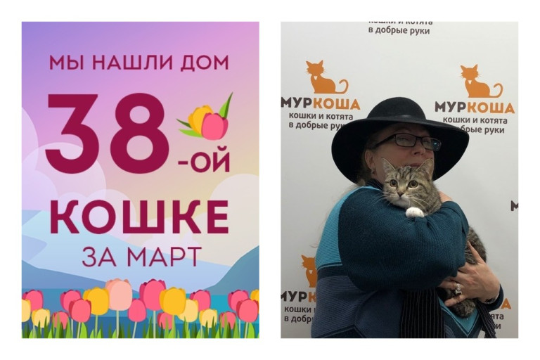 Прекрасная кошечка Графиня уезжает в свои новые владения!
